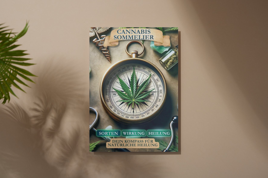 Cannabis Sommelier Dein Kompass für natürliche Heilung als pdf