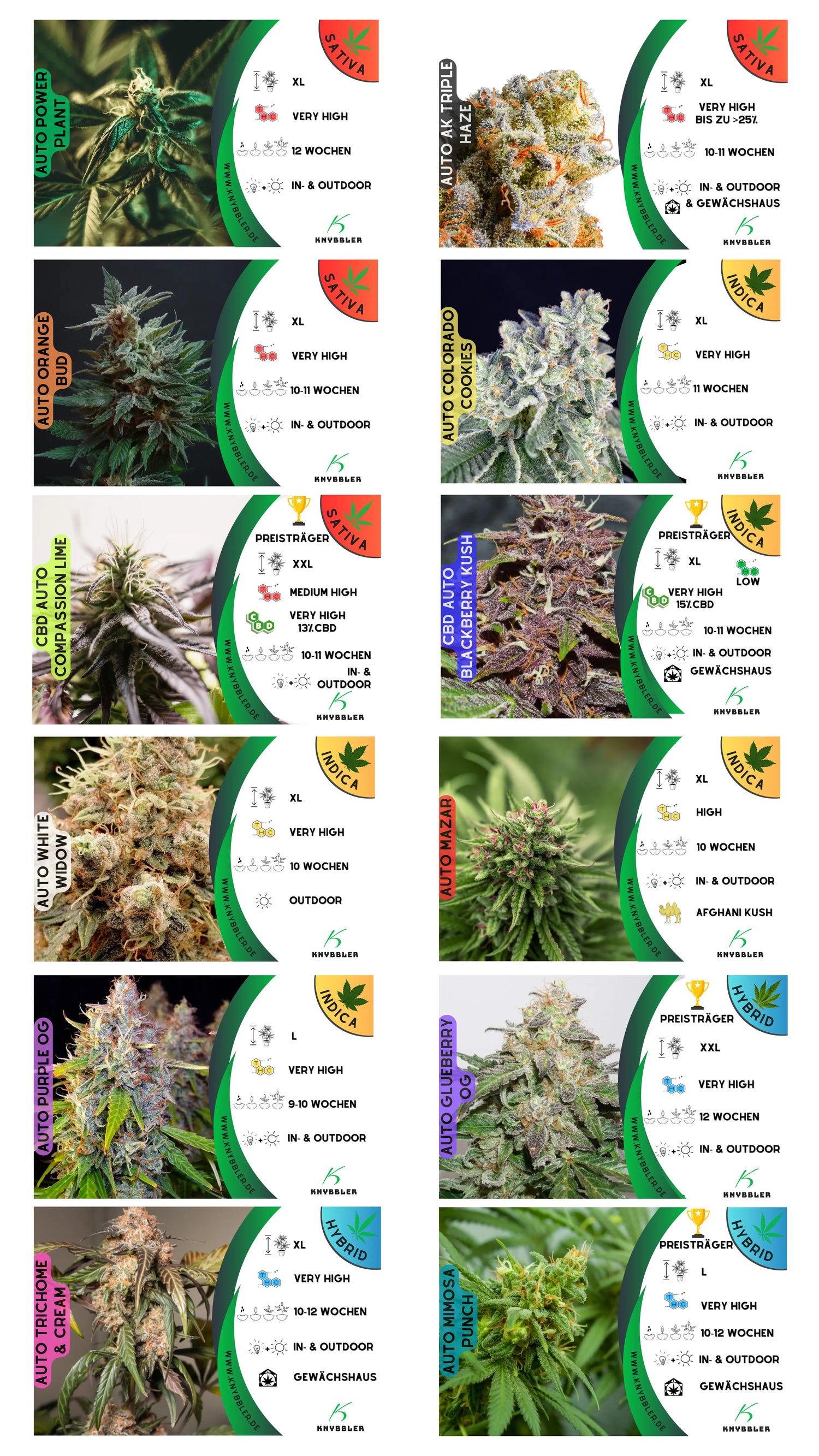 Komplettes Cannabis Grower Starter Kit: Indica, Sativa, Hybrid – Einfach Zuhause Anbauen Knybbler