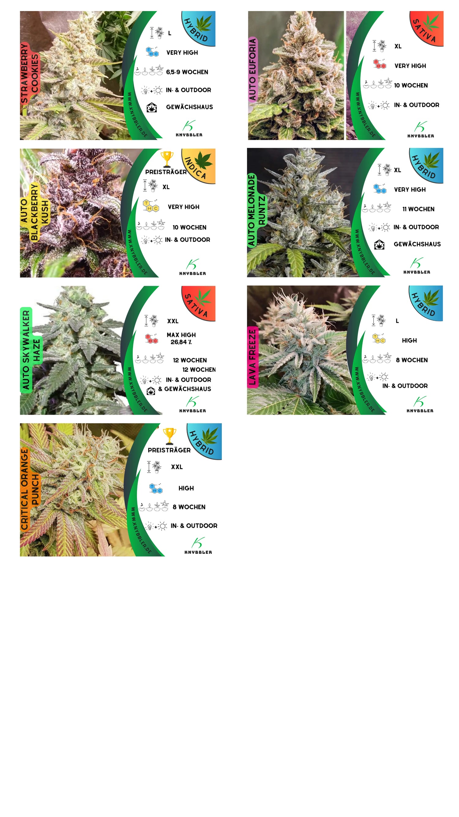 Starter Kit mit 3 Samen (Indica, Sativa, Hybrid) Knybbler